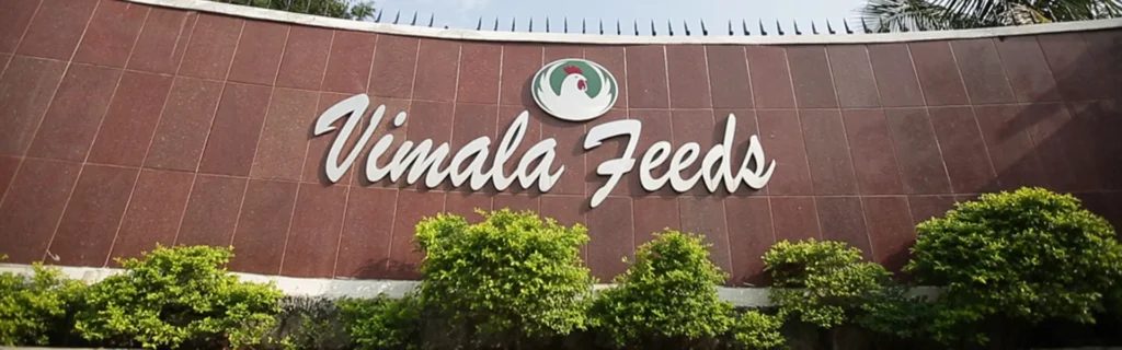 Blast Freezer Installation