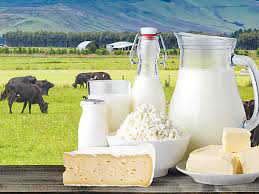 India’s Dairy Export Gap: How Crystal Group Empowers India’s Dairy Industry to Seize Global Opportunities